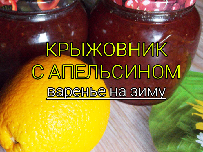 kryzhovnik-s-apelsinom-varene-na-zimu Баклажанная икра на зиму - Простые рецепты - женский сайт
