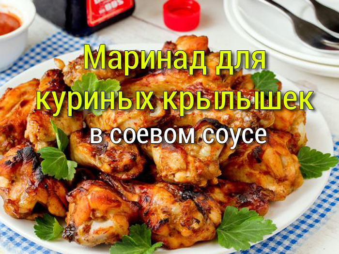 marinad-dlya-kurinyh-krylyshek-v-soevom-souse Шашлык из свинины с маринадом из белого вина и майонеза - Простые рецепты - женский сайт
