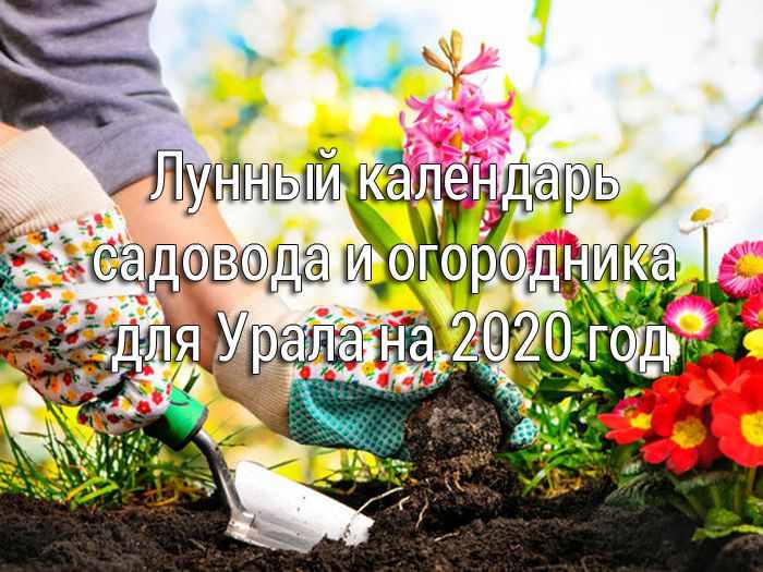 Лунный календарь садовода и огородника для Урала на 2020 год