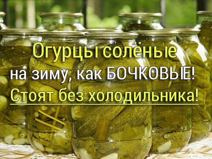 ogurcy-solenie-kak-bochkovie Грибная икра с баклажанами - Простые рецепты - женский сайт