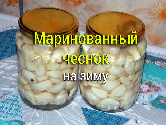 marinovannyj-chesnok-na-zimu Аджика свежая и варёная - Простые рецепты - женский сайт