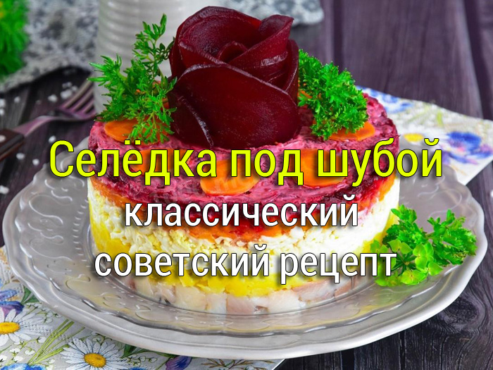 seledka-pod-shuboi Салат с курицей Цезарь - Простые рецепты - женский сайт
