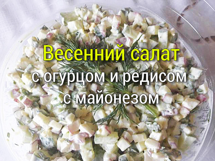 vesennij-salat-s-ogurcom-i-redisom-s-majonezom Салат из курицы с огурцом и кукурузой - Простые рецепты - женский сайт