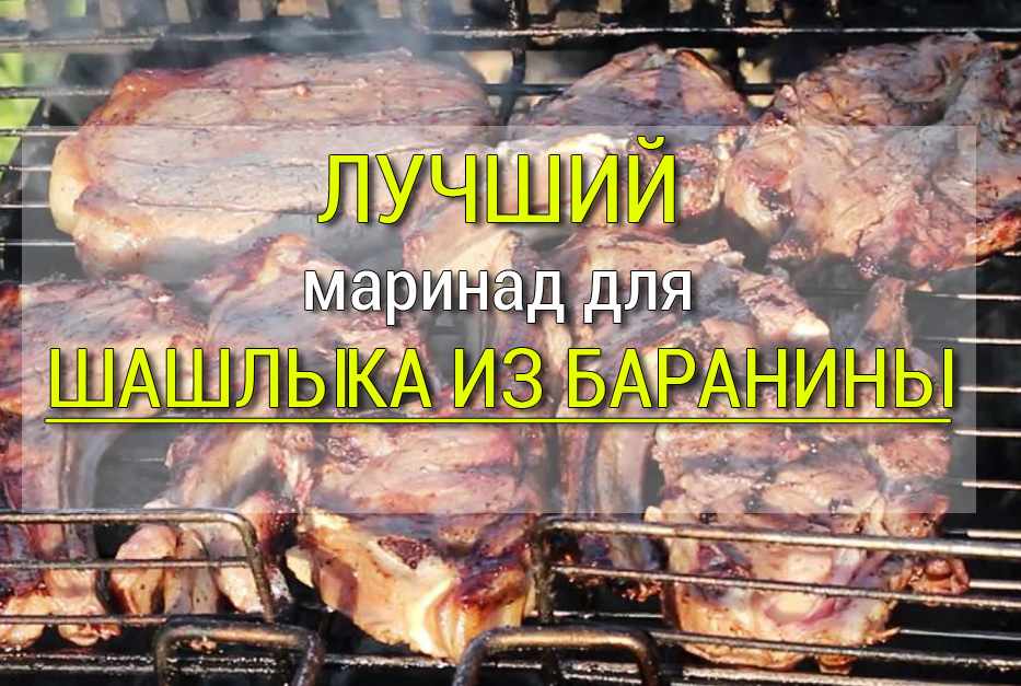 00113 Маринад для шашлыка из свинины - Простые рецепты - женский сайт