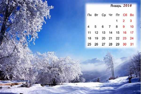  Лунный календарь садовода и огородника на январь 2016
