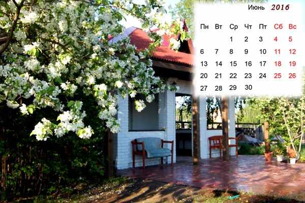 Лунный календарь садовода и огородника на Июнь 2016