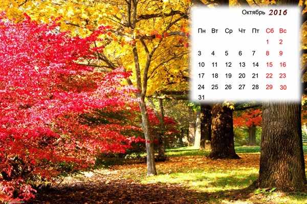 Лунный календарь садовода и огородника на Октябрь 2016