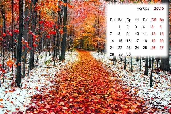 Лунный календарь садовода и огородника на Ноябрь 2016