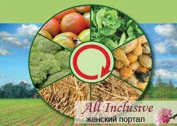Так ли уж нужен севооборот на участке?