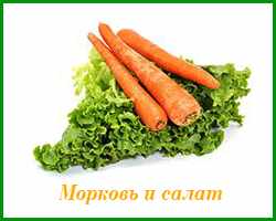 морковь можно сажать с салатом