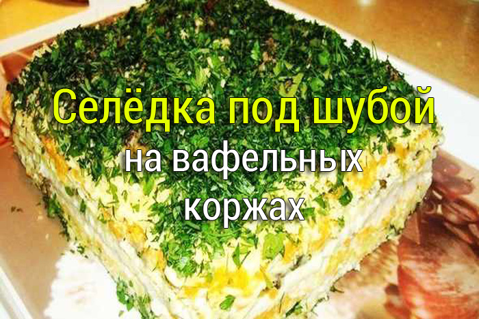 seledka_pod_shuboi_na_vafelnih_korjah Салат из капусты с колбасой и кукурузой - Простые рецепты - женский сайт